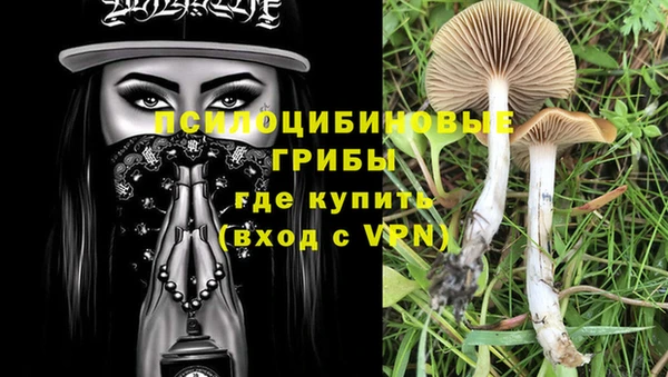 тгк Арсеньев