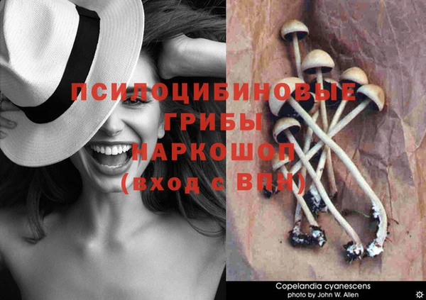 MDMA Аркадак