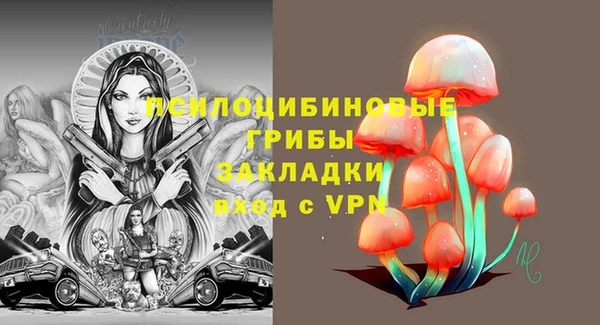 винт Армянск
