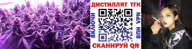 Купить закладки  Канаш  Дистиллят ТГК Wax 