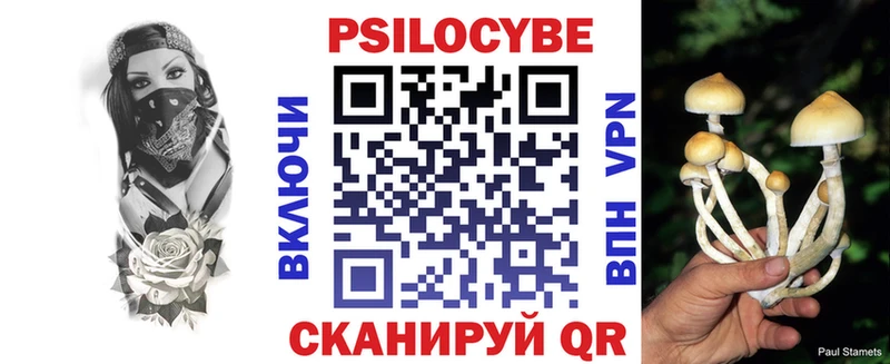 Купить где  Канаш  Псилоцибиновые грибы GOLDEN TEACHER 