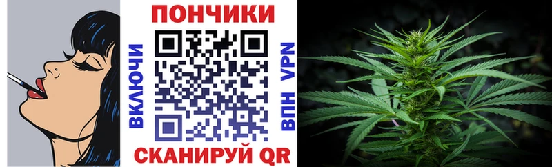 Купить где  Канаш  Канабис OG Kush 